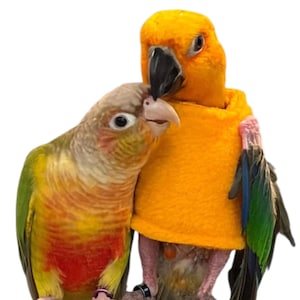 Vest E-Collar Jacket for Sun Conures and Quakers that Pluck & Pick Feathers