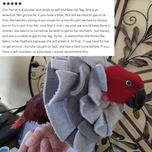 Soft Bird Collar for Congo African Grey Parrots image 10