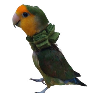 Soft Bird Neck Collar for Lovebirds, Budgies, and Parakeets