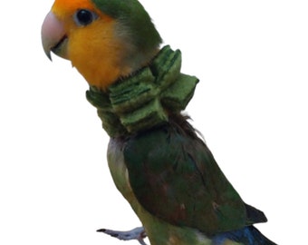 Soft Bird Neck Collar for Lovebirds, Budgies, and Parakeets