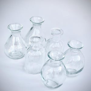 Pode incluir: Seis pequenos vasos de vidro transparente de várias formas estão dispostos sobre uma superfície branca. Os vasos têm corpos arredondados e cilíndricos com aberturas. O vidro é transparente, permitindo ver o fundo.