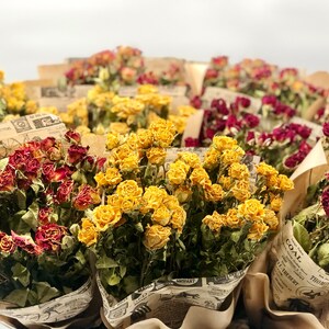 Dried Spray Roses, Mother's Day, Miniature Real Roses, Small Dried Rose ...