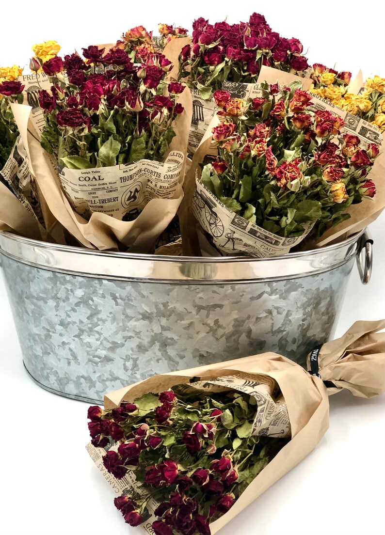 Dried Spray Roses Mother's Day Miniature Real Roses - Etsy