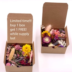 Dried Flower Colorful Craft Box, Mixed Dried Flowers Confetti, Potpourri, Resin Art, Soap Making, Candle Making, Natural Real Flowers
