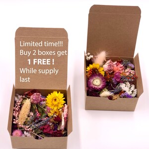 Caja de manualidades colorida con flores secas, confeti de flores secas mixtas, popurrí, arte con resina, fabricación de jabón, fabricación de velas, flores naturales reales