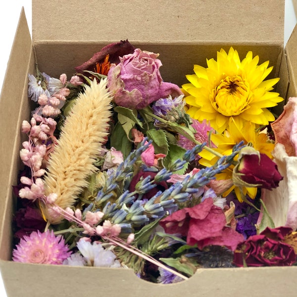 Dried Flower Confetti Etsy