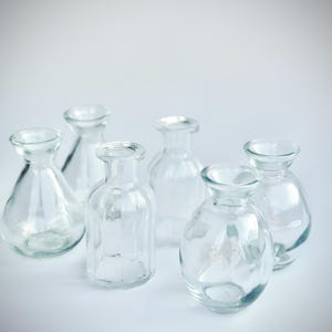 Little Glass Vintage Bud Vases, Tiny Clear Bottles, DIY, Set of 6 Mixed Display Bottles, Rustic Mini Jars, Wedding and Event Centerpieces