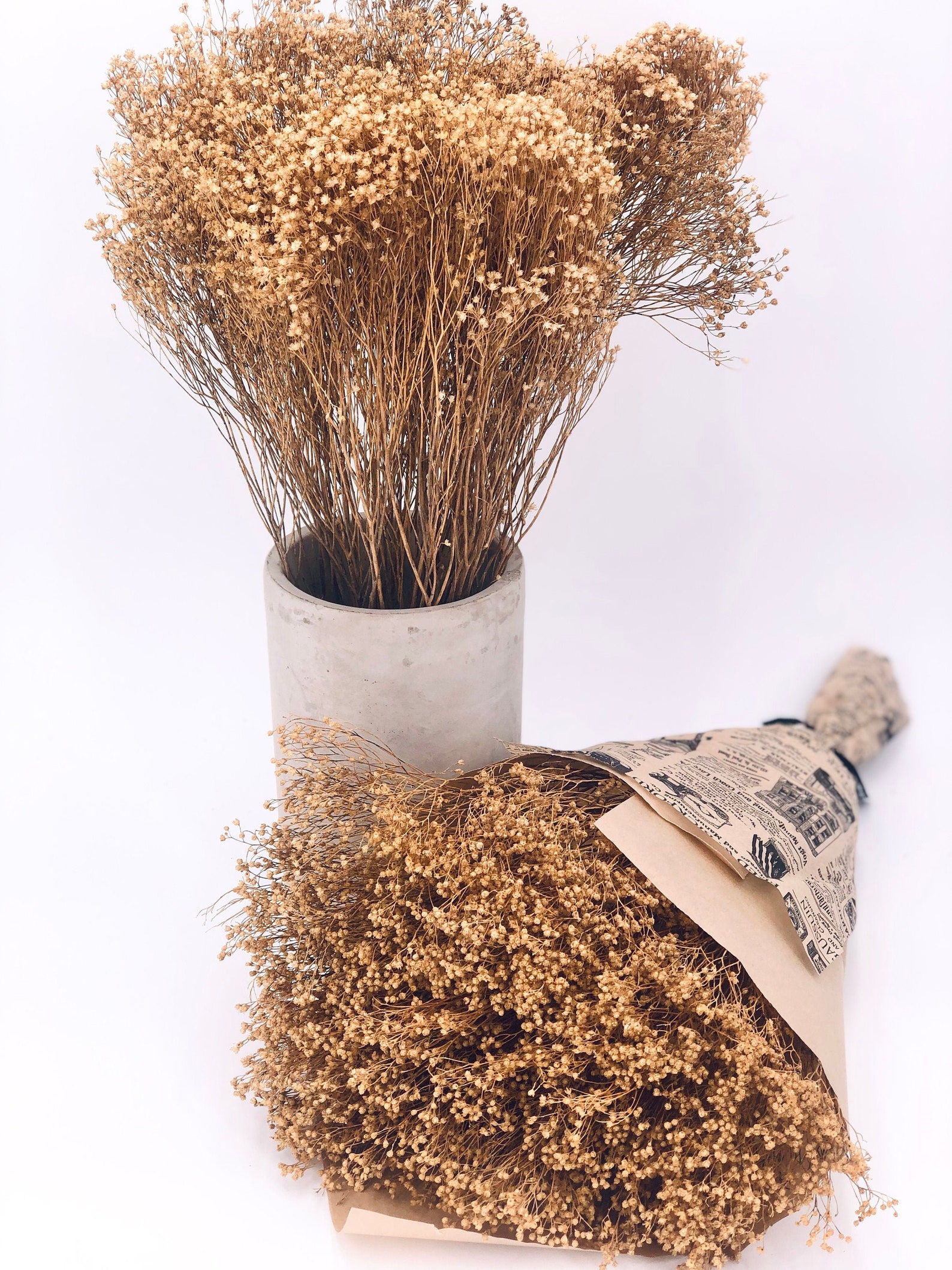 Dried Flowers Natural Broom Bloom Bundle Home Decor Wedding Etsy