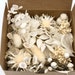 see more listings in the Dried Flowers/Wedding section