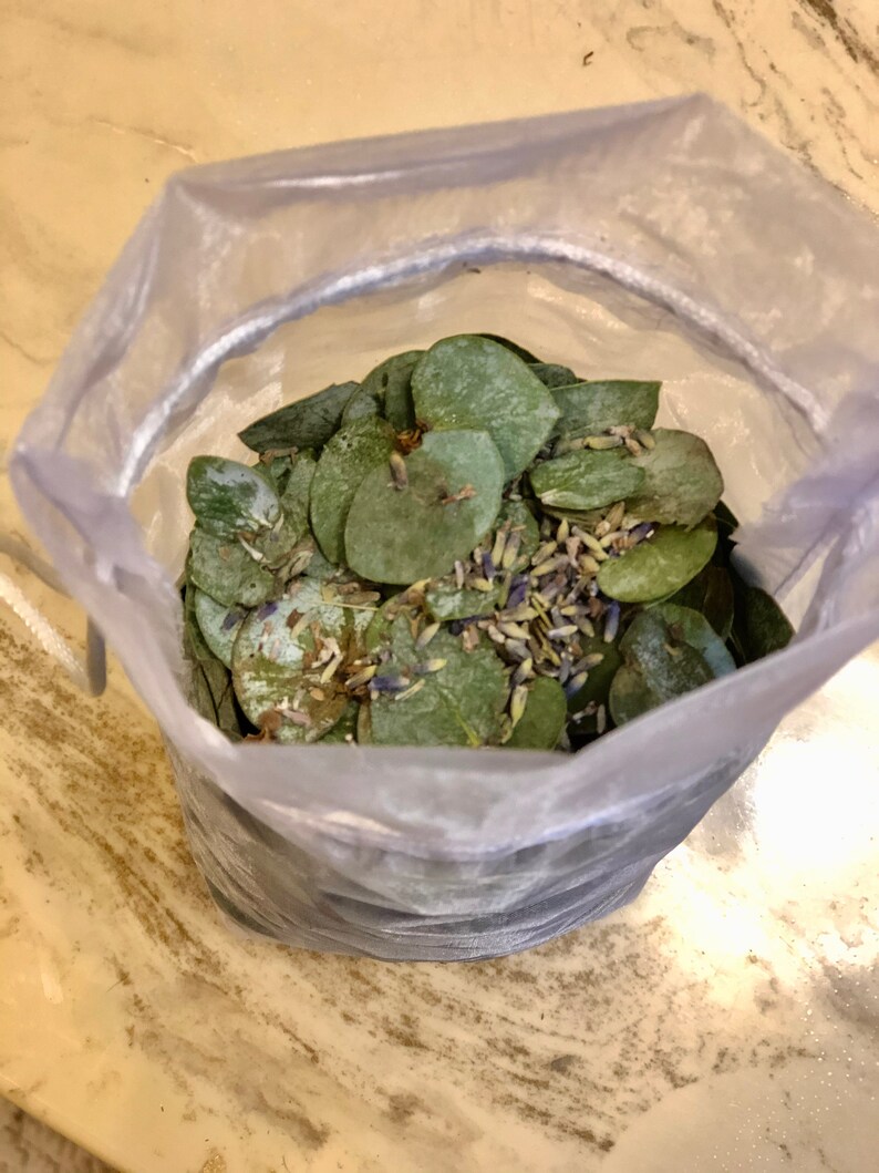 Real Eucalyptus and Lavender Shower Pouch Organza Bag Etsy