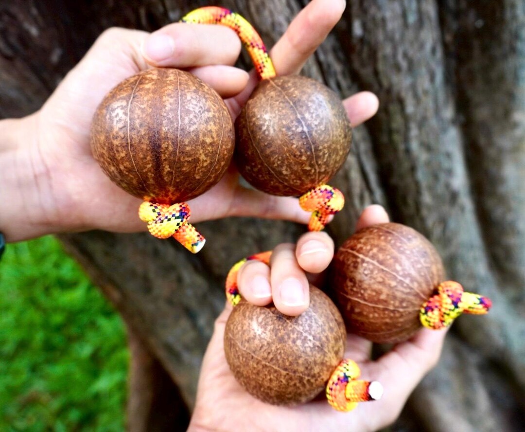 Handmade Jumbo Asalato Set: African Shaker Percussion Instrument - Etsy