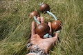 African Asalato Premium Set: Fair Trade Handmade Percussion Instrument product logo