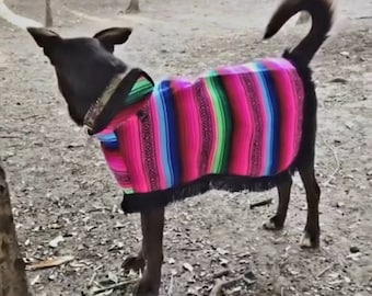 Dog Sarape Mexican Pet Sweater / Jorongo / Mexican Dog Shirt / Mexican Dog Coat Zarape / Perro Jorongo Abrigo / Pet Cat Jacket