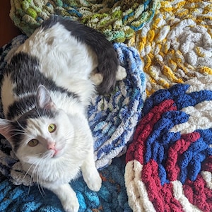 May include: A white and gray cat with green eyes sits on a blue, red, white, and yellow crocheted rug. The rug is made of thick yarn and has a circular design.