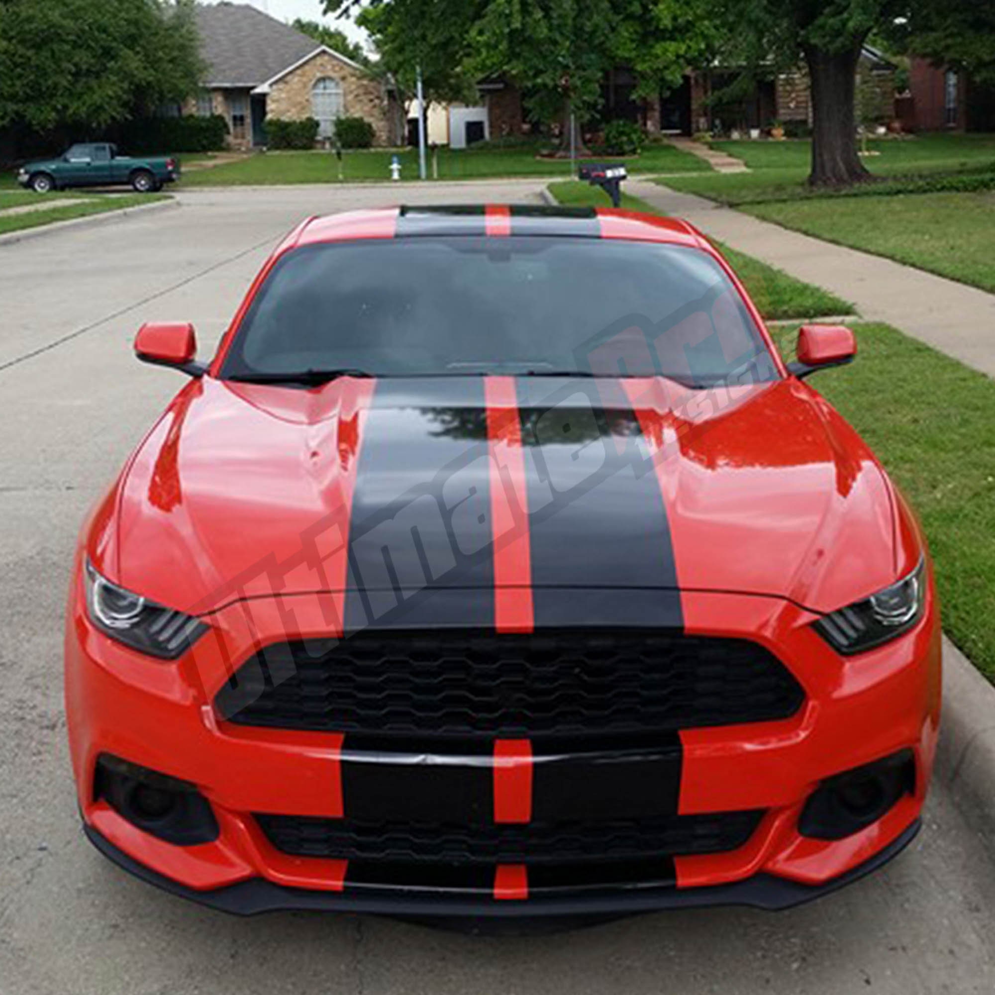 Buy Mustang Stripe Online In India Etsy India