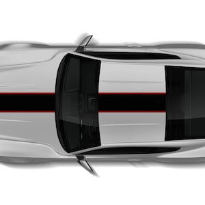 Puede incluir: Un coche plateado con rayas de carreras negras y un contorno rojo. El coche se ve desde arriba.