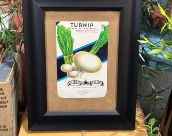 Authentic Vintage Lone Star Seed Co. Turnip Seed Pack Framed Tabletop Art Decor