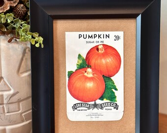 Authentic Vintage Lone Star Seed Co. Pumpkin Seed Pack Framed Tabletop Art Decor