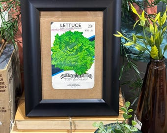 Authentic Vintage Lone Star Seed Co. Lettuce Seed Pack Framed Tabletop Art Decor