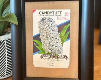 Authentic Vintage Lone Star Seed Co. Candytuft Seed Pack Framed Tabletop Art Decor