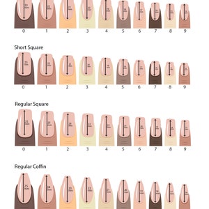 Pyramid Queen B Press on nails Fake nails False nails Artificial nails Glue on nails image 7