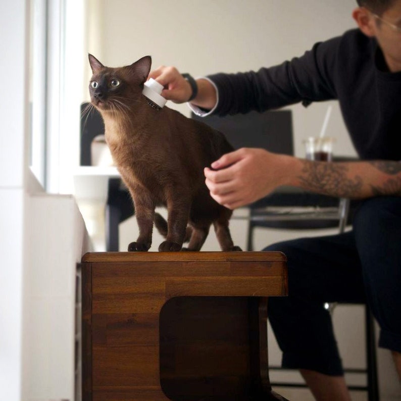 Cleo Bedside Table Pet Bed Nightstand Side Table Pet Etsy