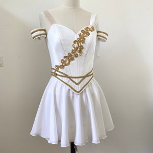 Talisman professional ballet costume