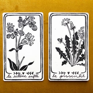 Carte herbier