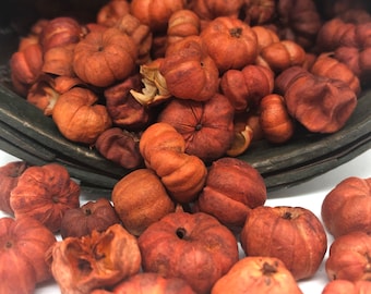 Orange Putka Pods
