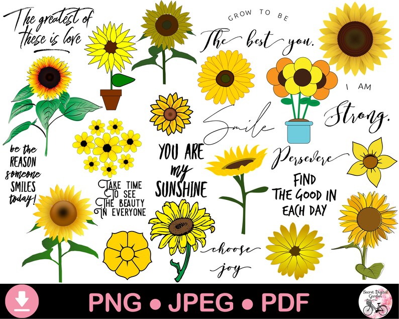 Download Sunflower PNG Bundle Sunflower Clipart Commercial Use | Etsy