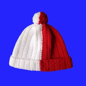 Fire and Ice Crochet Hat