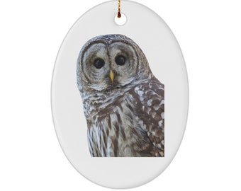 Barred owl ornament, mini owl ornament for small tree, barred owl christmas ornaments