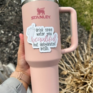 Drink Water, Flexible Magnet, 40oz Tumbler, Dehydrated, Magnet, Cup Magnet, Gift for Her, Beautiful