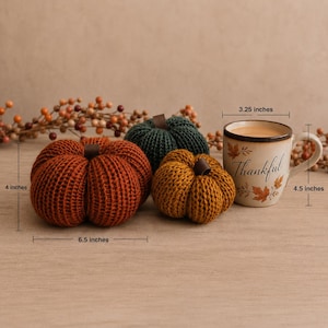 May include: Three knitted pumpkins in rust, dark green, and mustard yellow, each with a brown stem, alongside a ceramic mug with the text Thankful and leaf illustrations. The largest pumpkin is 6.5 inches wide and 4 inches tall; the mug is 3.25 inches wide.