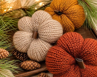 Farmhouse Knit Pumpkin: Rustic Homemade Fall Decor, Cozy Autumn Table Centerpiece, Neutral Bowl Filler