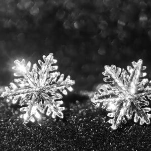 Boucles d'oreilles à tige en véritable platine massif Pt950 poli en forme de flocon de neige vif avec dos en platine pour un usage quotidien pour hommes, femmes et enfants