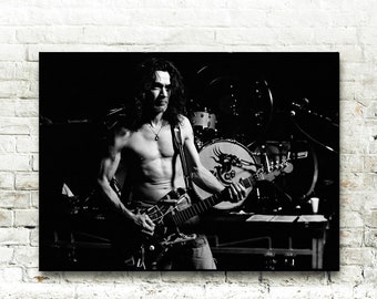 VAN HALEN  MUSIC POSTER FRIDGE REFRIGERATOR MAGNET 56MS 
