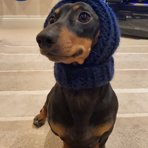 Etsy dachshund deals sweater