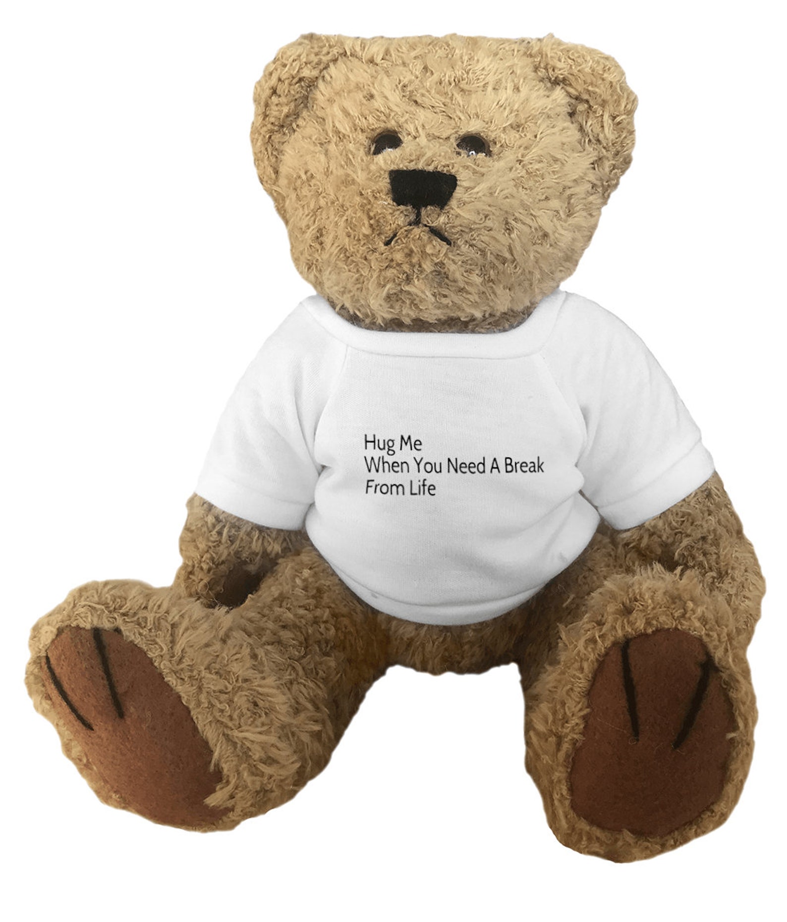 DBT BPD PTSD comfort teddy bear self care soft toy worry Etsy