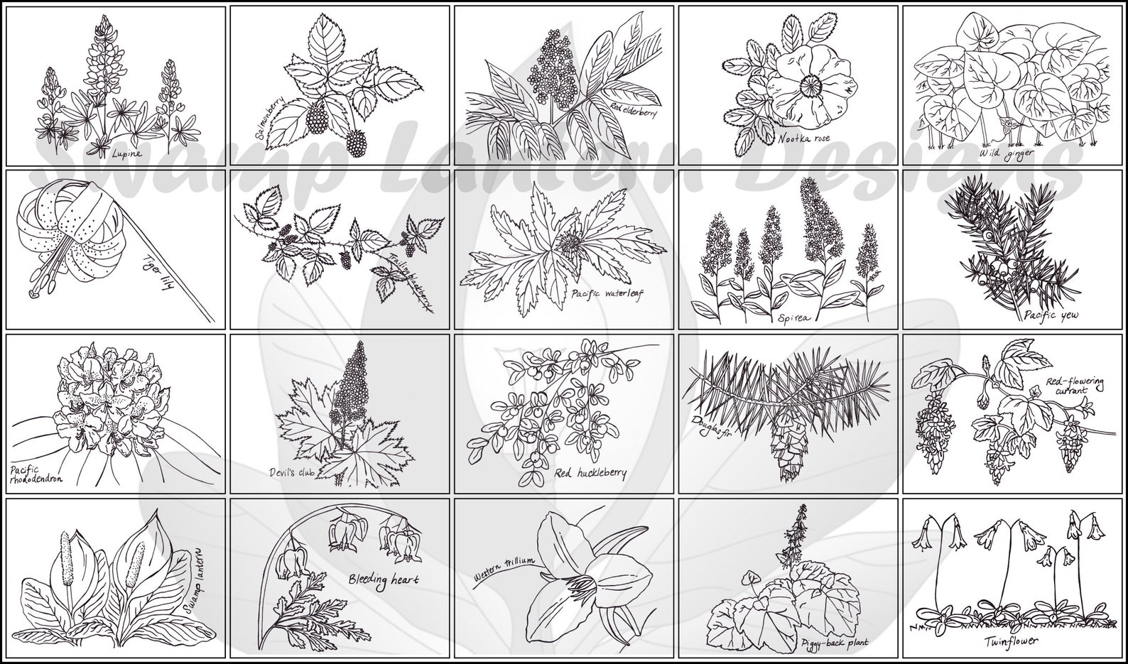 Pacific Northwest Plants Coloring Book Instant Download 20 - Etsy