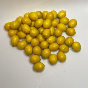 Bag of 48 fake miniature lemons