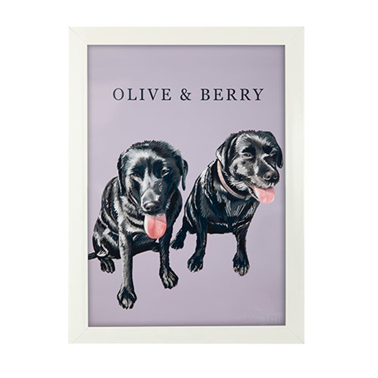 Framed Personalised Pet Portraits White Frame Etsy