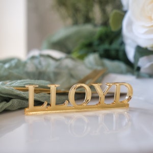Etiquetas de acrílico para nombres de boda, tarjetas con nombres de lugar únicas, recuerdos de boda, nombres recortados en acrílico, decoraciones para mesas de boda