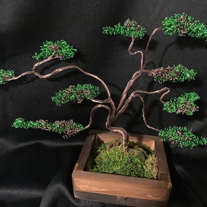 Wire bonsai tree handmade in wooden box