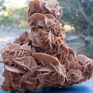 Desert Rose Gypsum Specimen Rock Large Office Decor Centerpiece Home  Decoration Desert Ros Mineral - Etsy