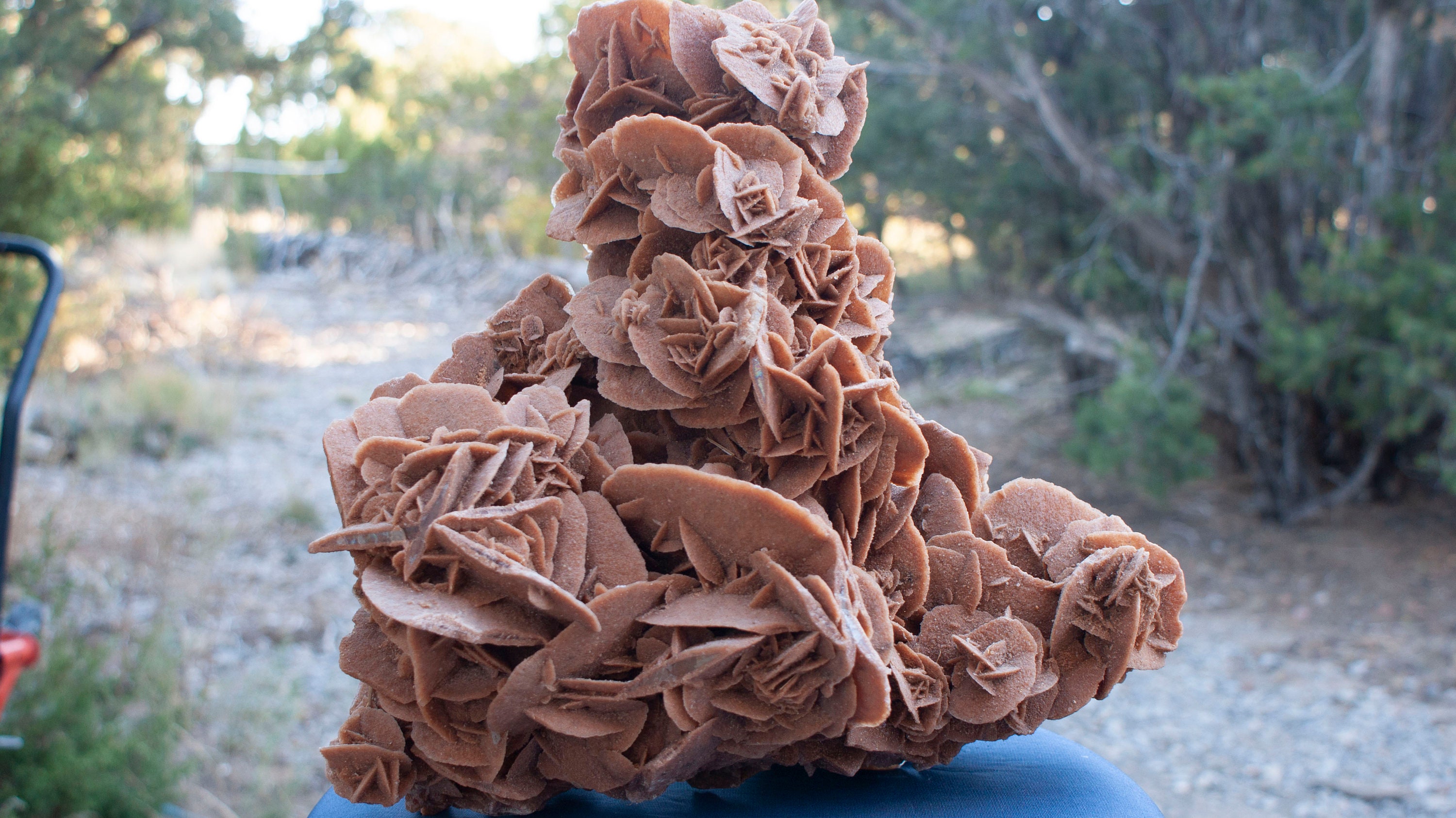 Desert Rose Gypsum Specimen Rock Large Office Decor Centerpiece Home ...