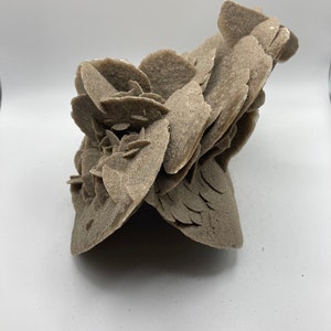 Desert rose selenite gypsum desert rose gypsum desert rocks sand minerals African gems and minerals selenite specimen gems and mineral