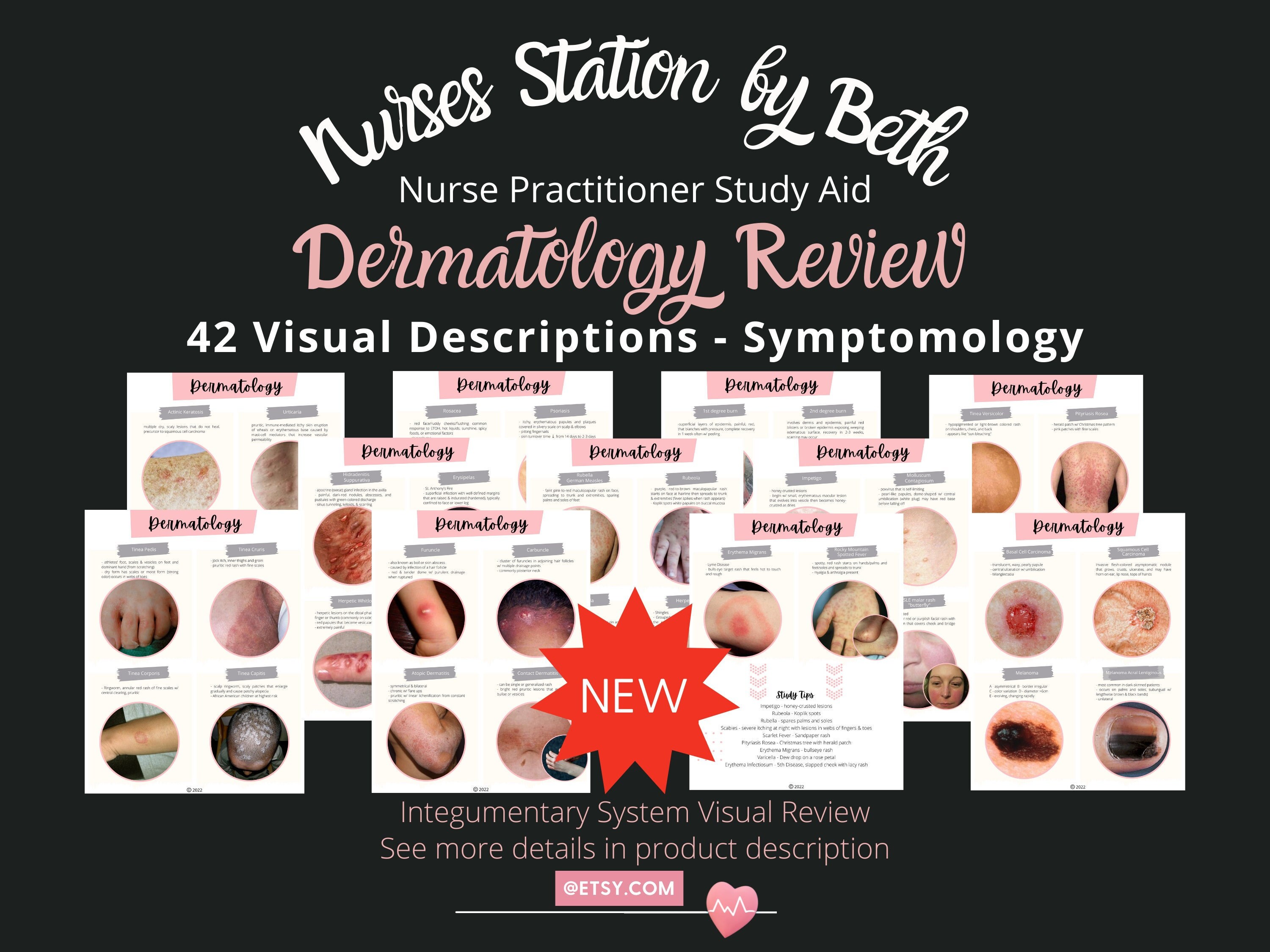 Nurse Practitioner Study Guide NP Study Aid Nurse Etsy