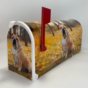 English Bulldog, Celebrate your furry friend with a charming mailbox. This unique mailbox adds charm