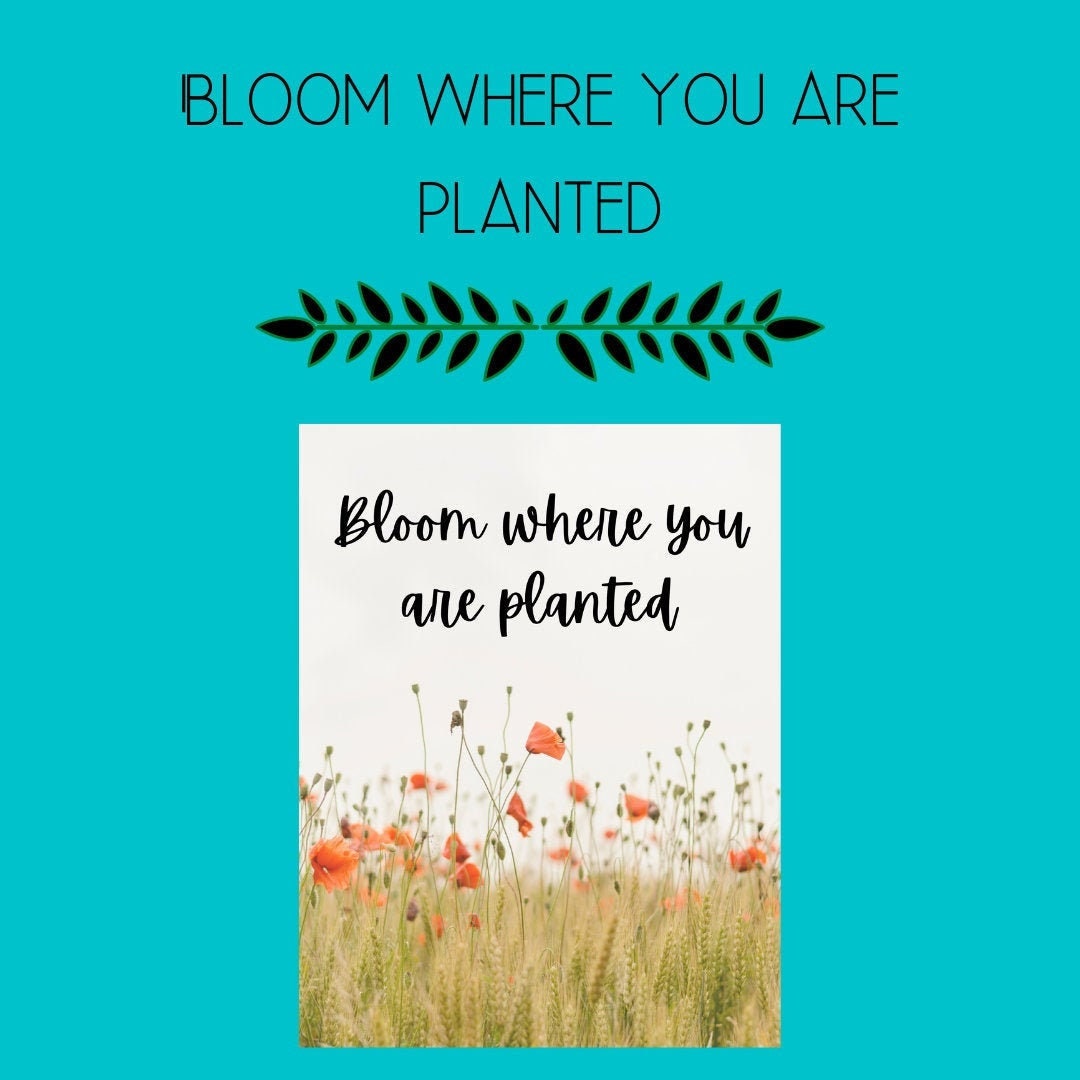 Bloom Where You Are Planted | Etsy